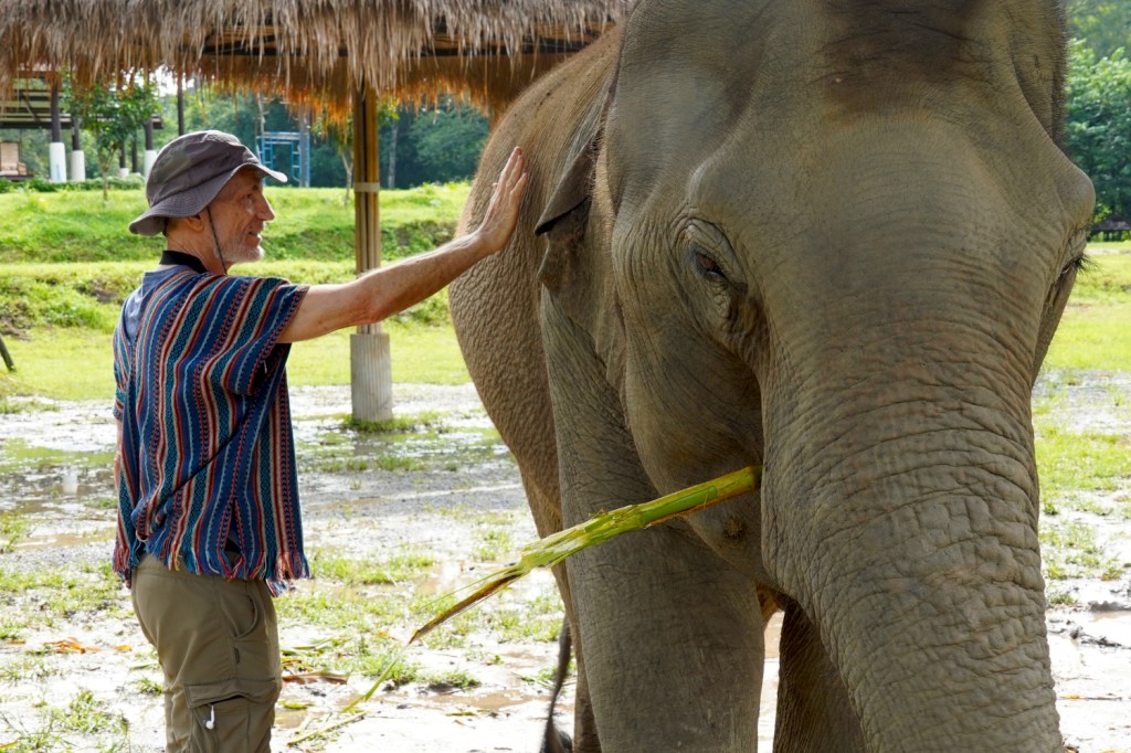 We Finally Get Our Trunks Dirty! Bathing with Elephants in&nbsp;Thailand