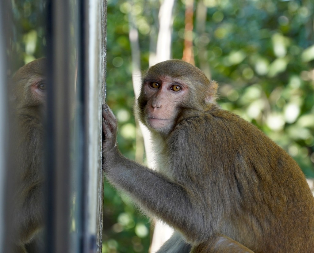 Beyond the Textbook: Navigating Teaching and Daily Life in an Indian&nbsp;Village