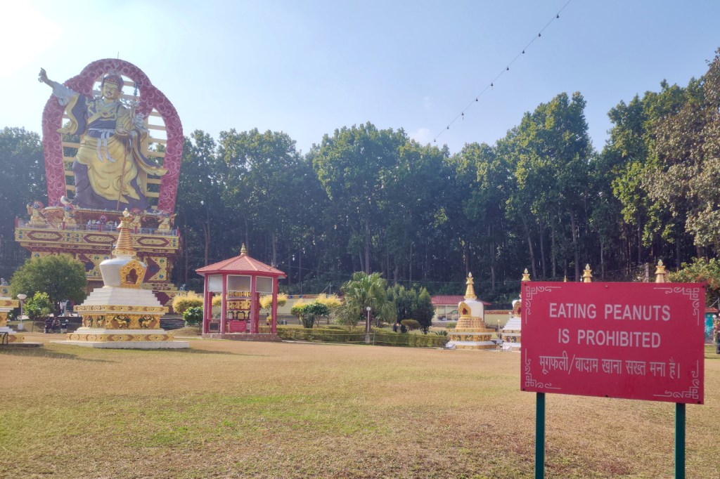 Mind Rolling Through&nbsp;Dehradun