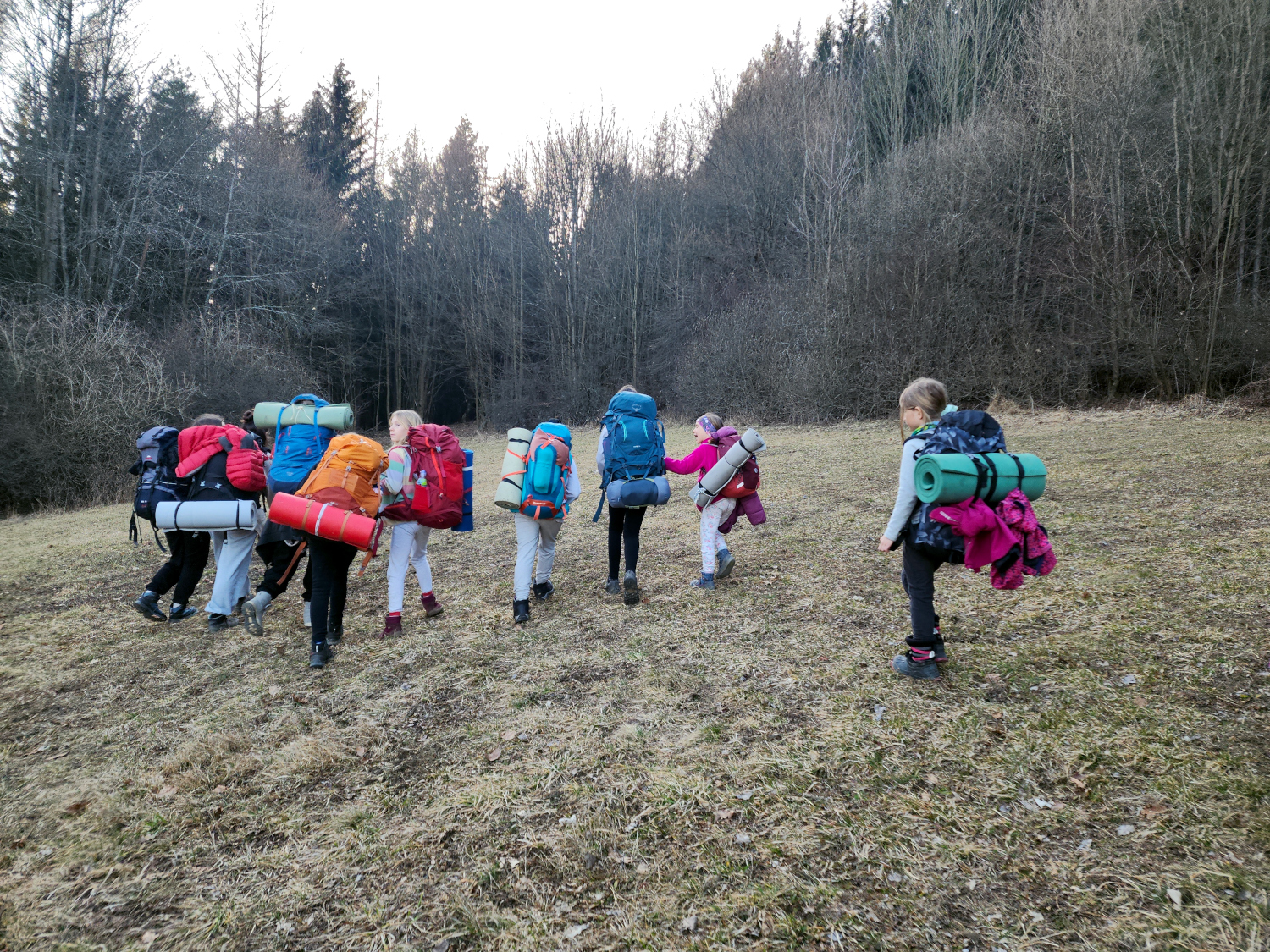 No Walk in the Park: A Czech Trek Tale