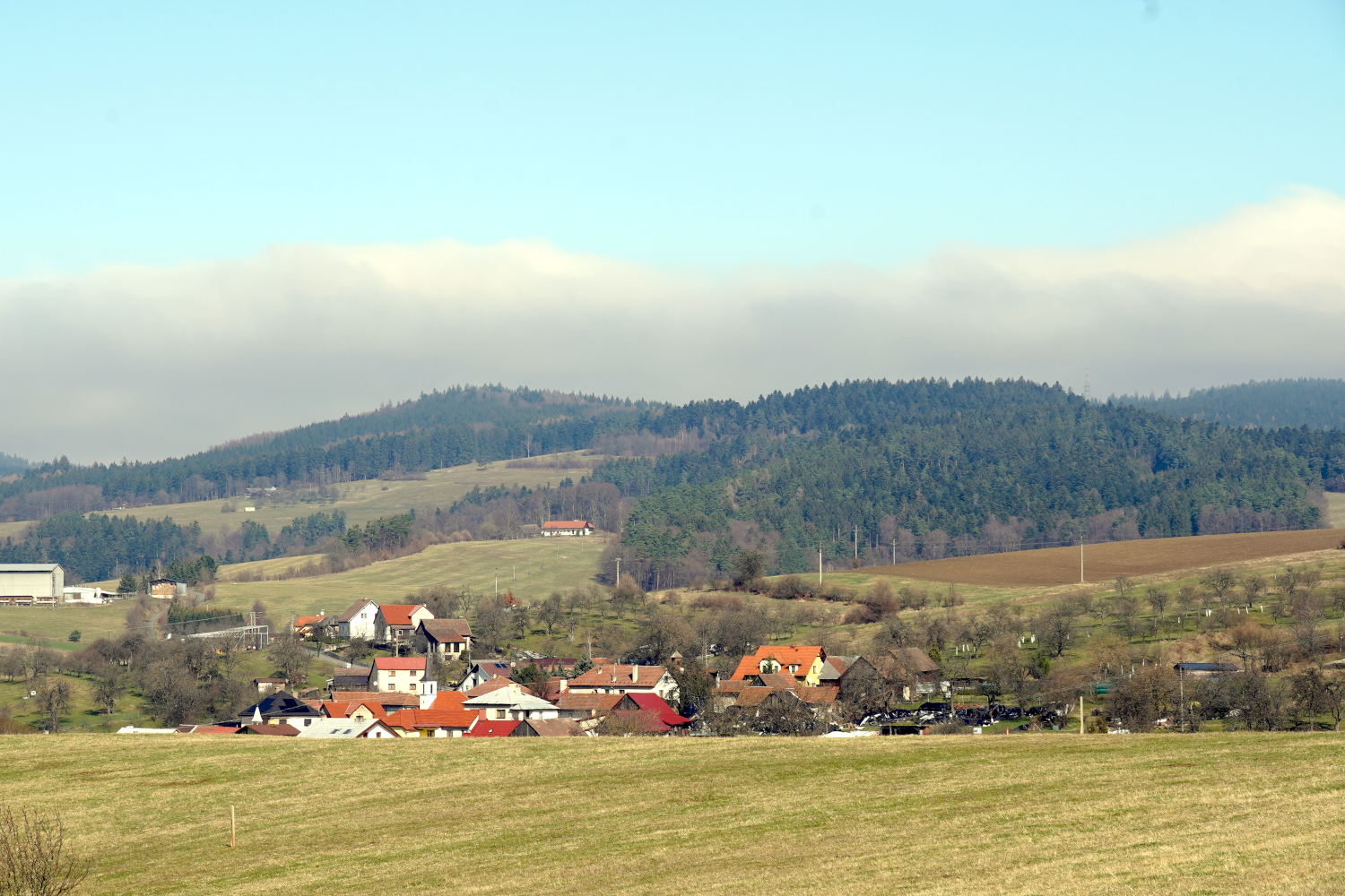 Velvet Revolutions and Berry Tarts: Three Unplugged Nights in Czechia