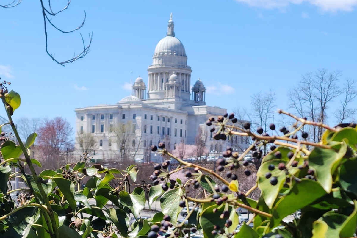 Centenarians, Crusaders, and Cult Classics