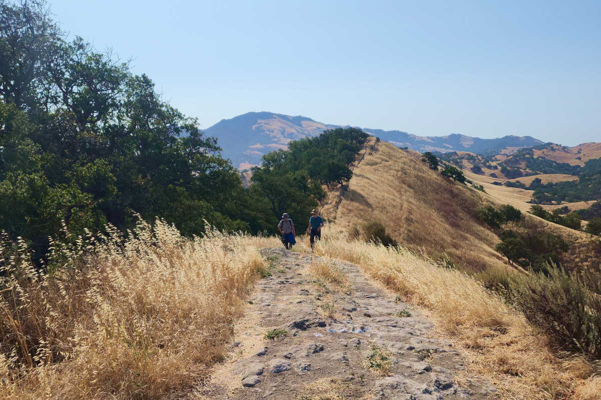 From Rare Cars to Historic Ranches: A Weekend in Danville & Walnut Creek
