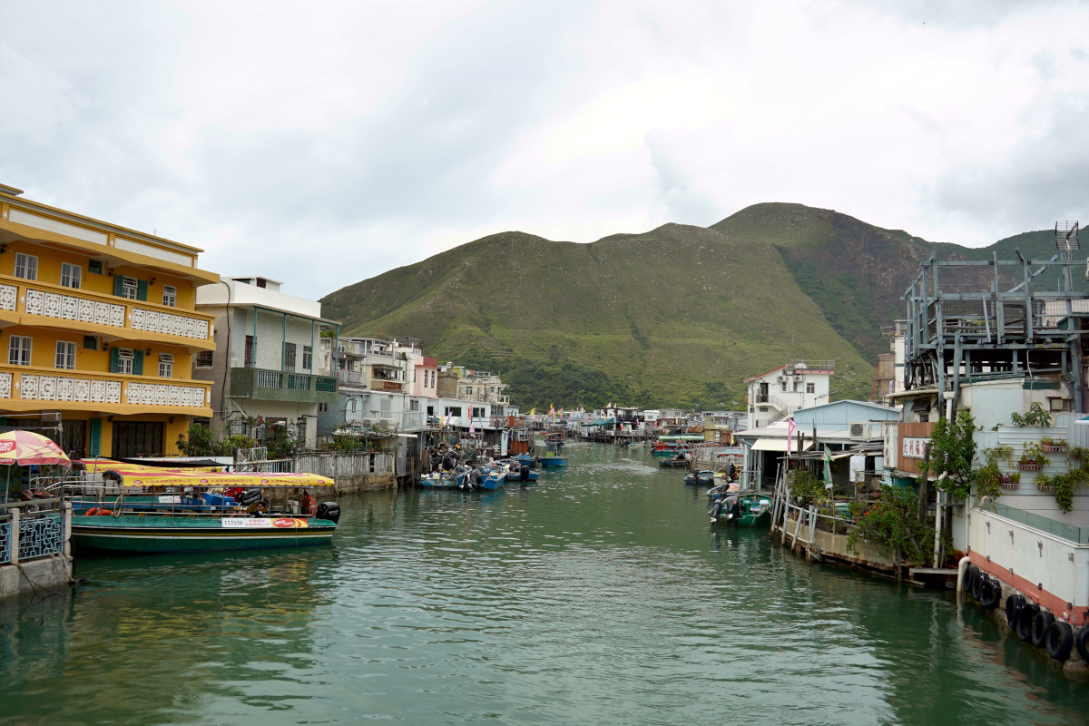 Lost in Tai-O: Where the Pigs Parade and the Dolphins Play Hide-and-Seek